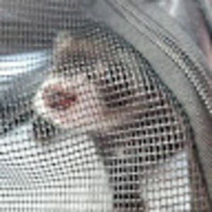 Meet your Posher, Kristal